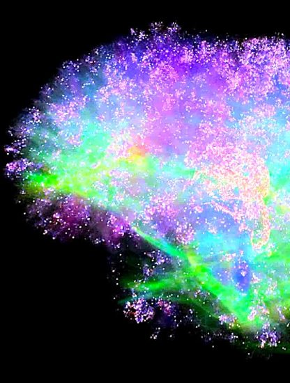 genn spikefun simulation cerebrale informatique cerveau