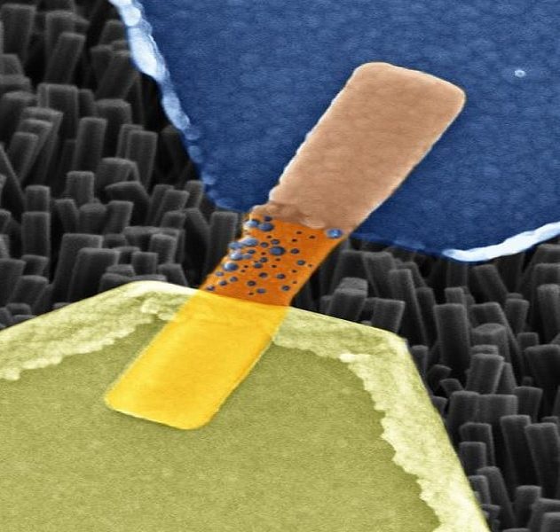 synapse artificielle nanocable