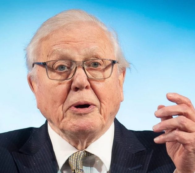 attenborough climat davos