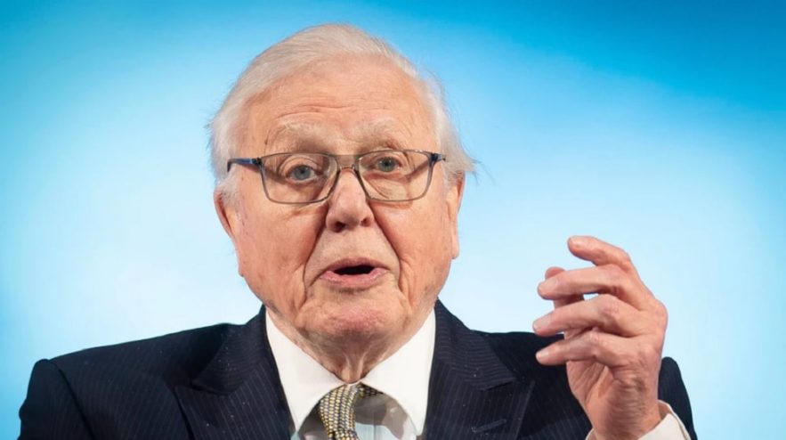 attenborough climat davos