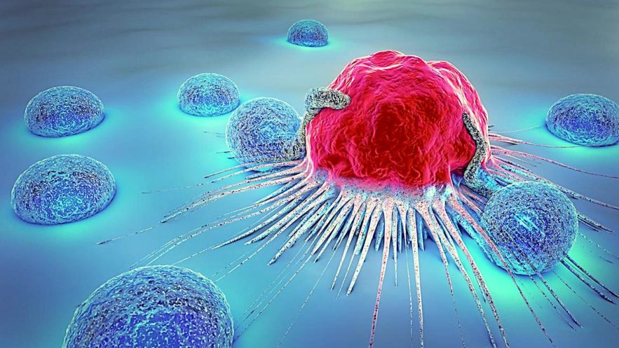 cellule cancereuse attaquee cancer