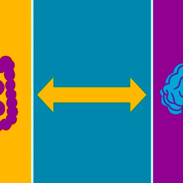 intestin cerveau demence