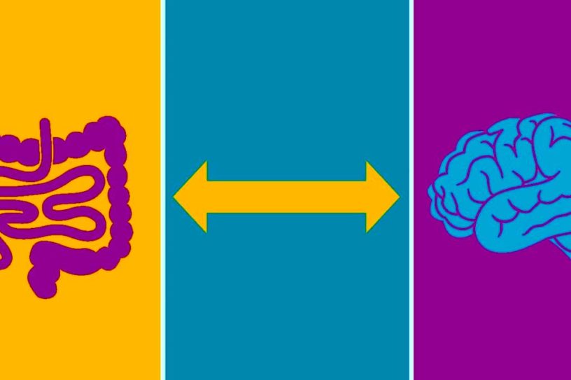 intestin cerveau demence