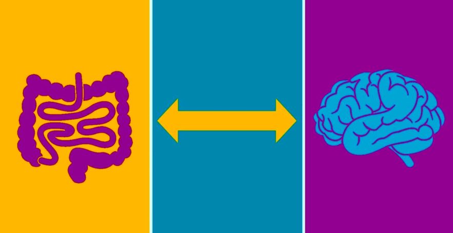 intestin cerveau demence