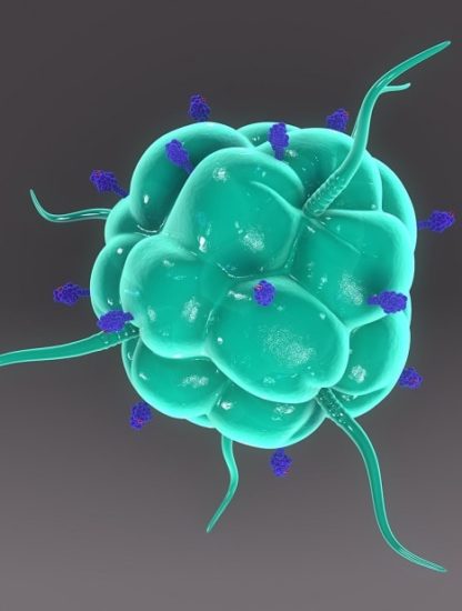 macrophage energie cancer