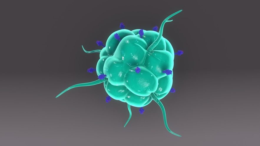 macrophage energie cancer