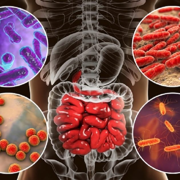 microbiome bacteries age