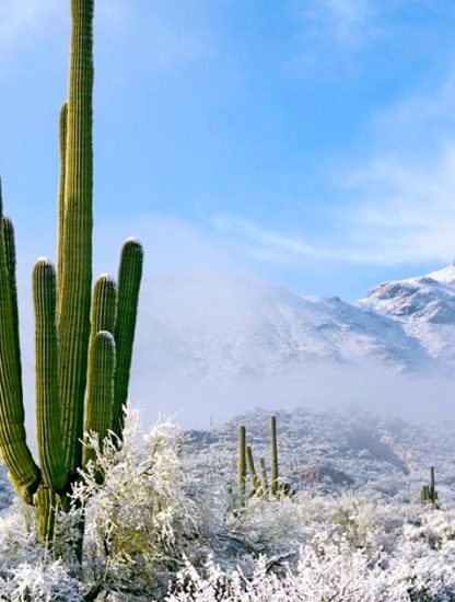 rares chutes neige desert arizona paysage glace