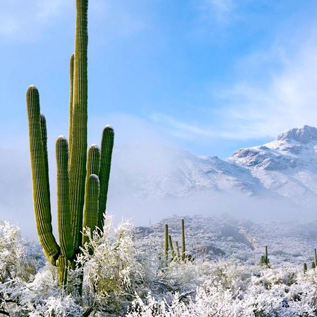 rares chutes neige desert arizona paysage glace