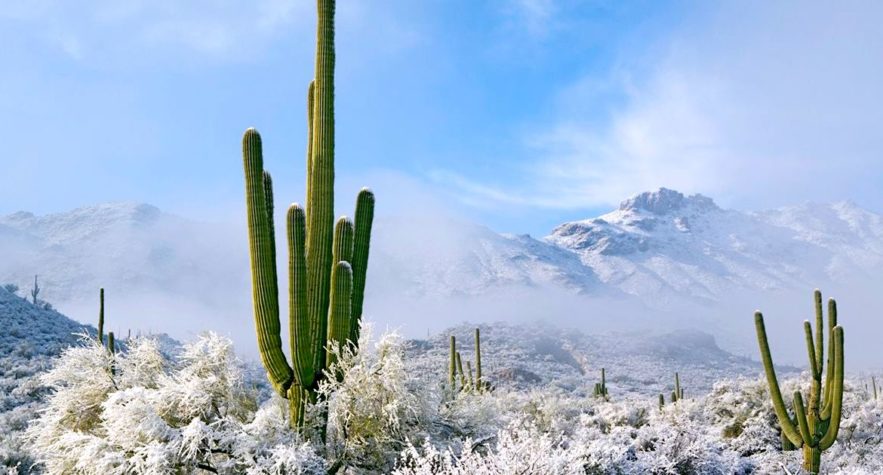 rares chutes neige desert arizona paysage glace