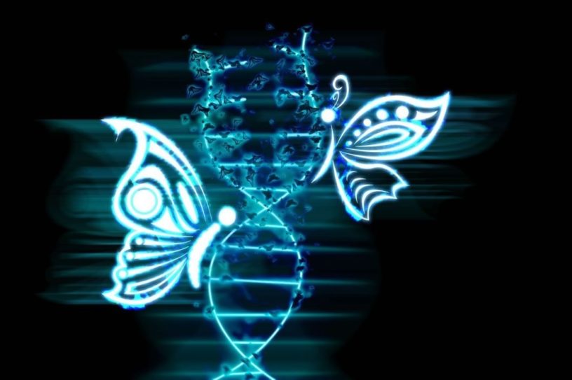synchronisation systemes chaotiques