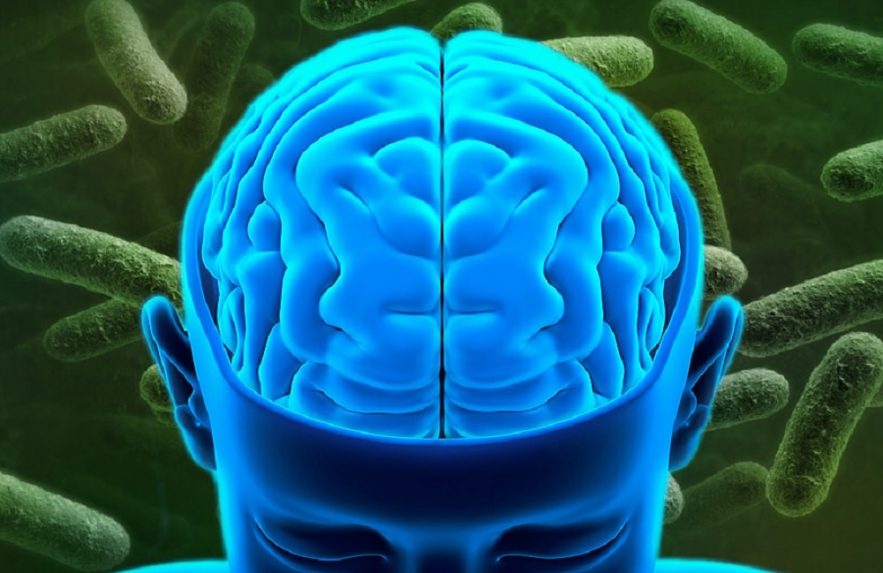 bacterie intestin depression