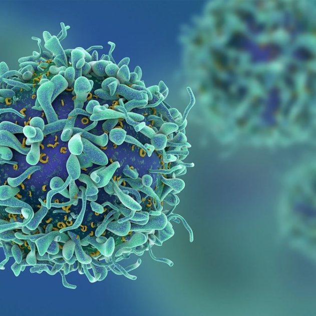 cancer cheval troie