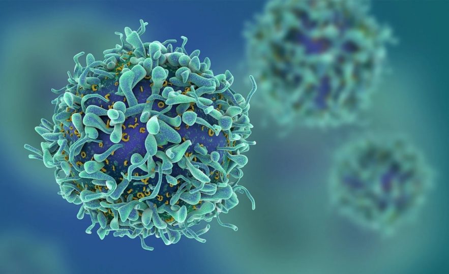 cancer cheval troie