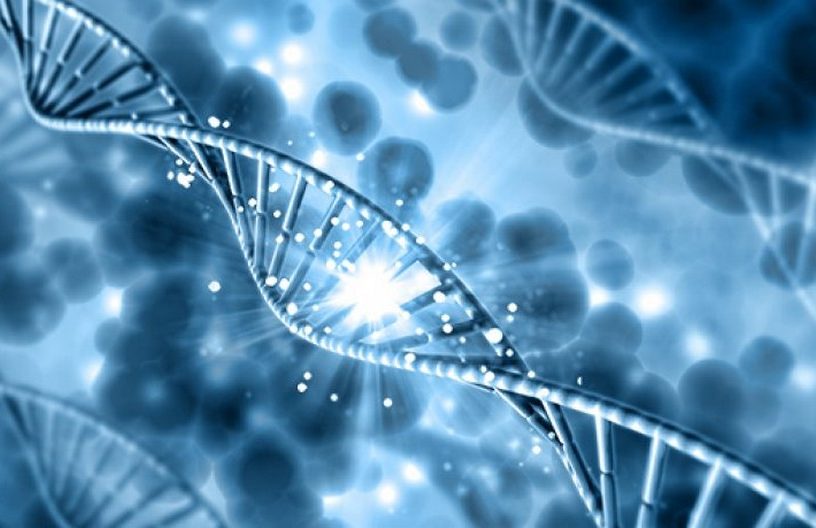 genetique fond patrimoine gene cellule levure etre humain maladie recherche