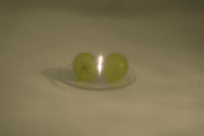 raisin plasma micro onde