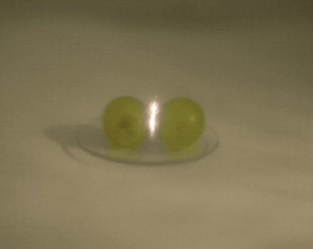 raisin plasma micro onde