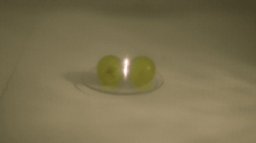 raisin plasma micro onde