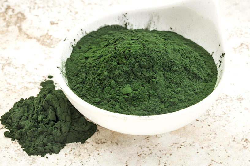 spiruline poudre