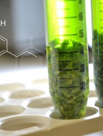 synthese artificielle cannabinoides