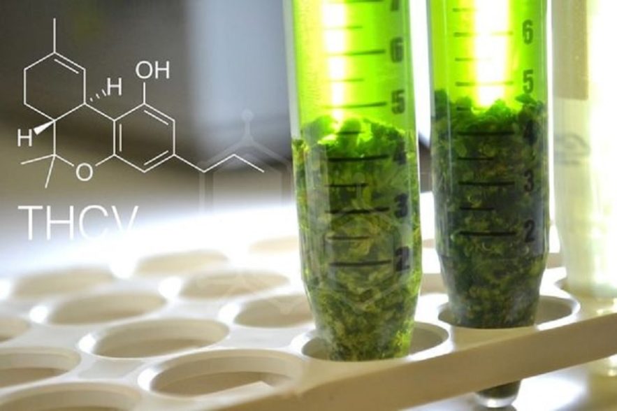 synthese artificielle cannabinoides