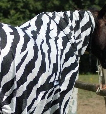 cheveux cheval zebre rayures deguisement mouches trajectoire