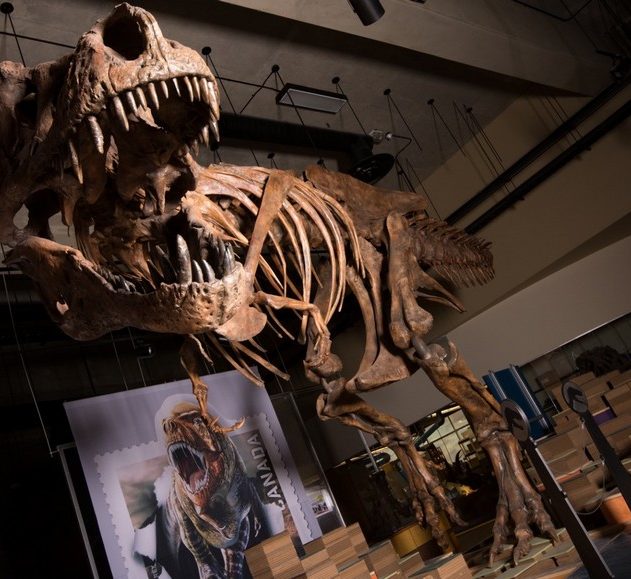 trex dinosaure tyrannosaurus rex