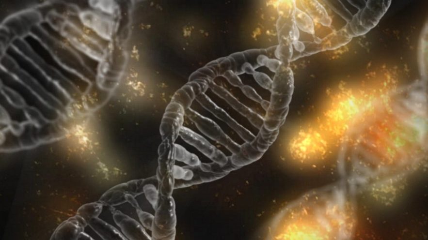 adn mutation genetique filmee video