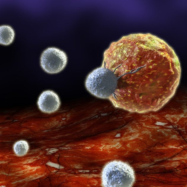maladie auto immune PD-1