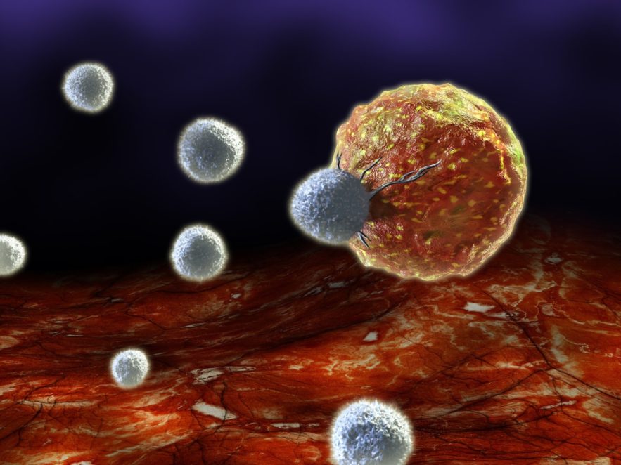 maladie auto immune PD-1