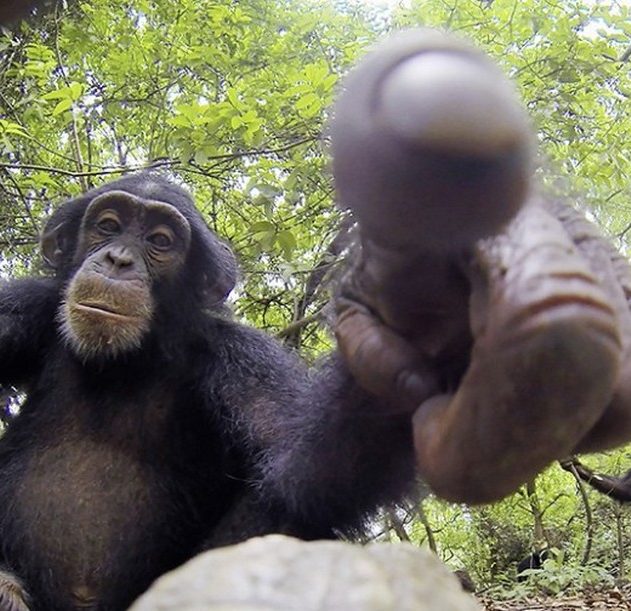 singe camera