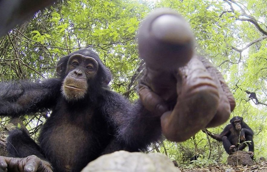 singe camera