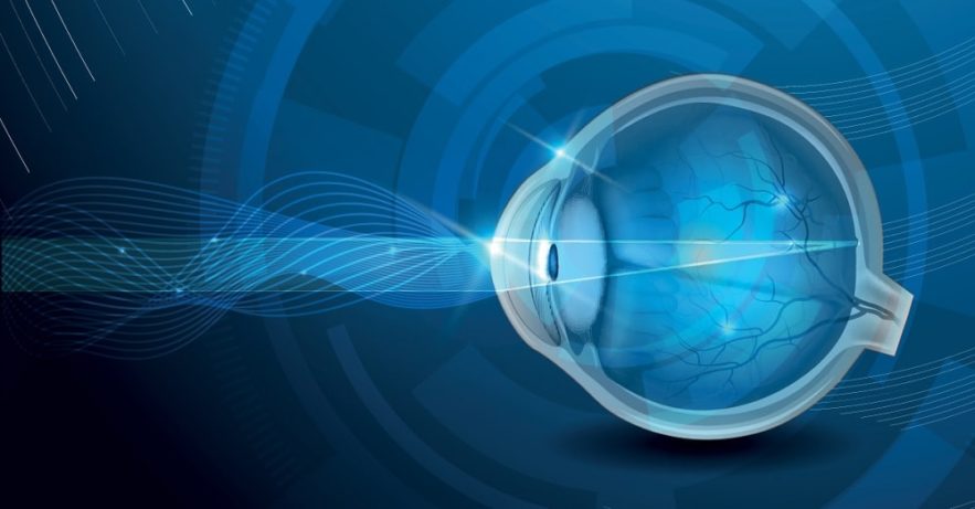 yeux vision nocturne