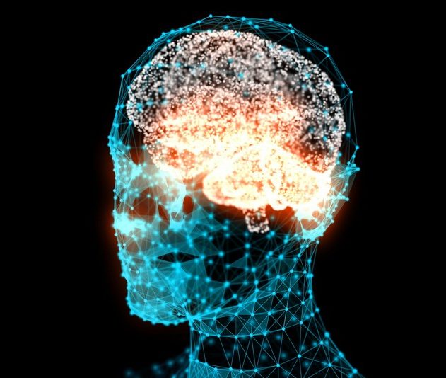 cerveau activite cerebrale son audible comprehension