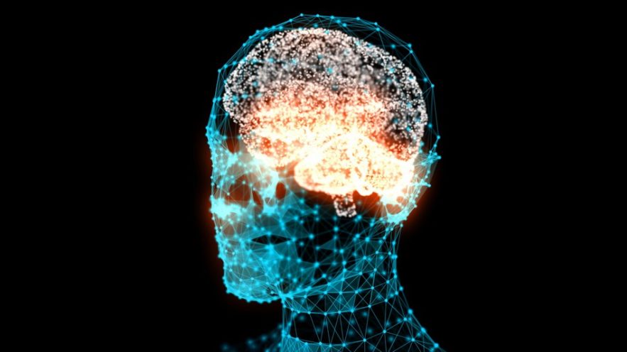 cerveau activite cerebrale son audible comprehension