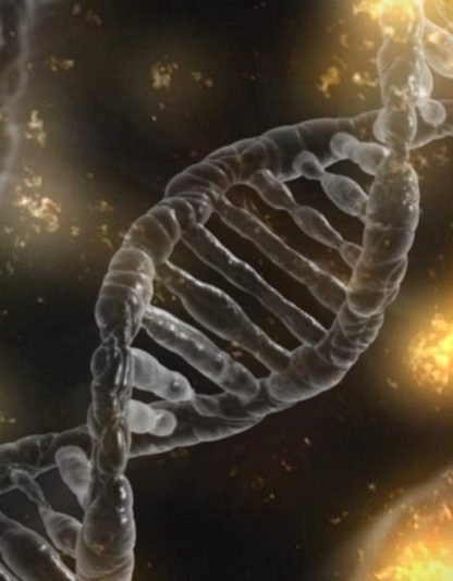 crispr modification genetique