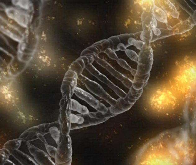 crispr modification genetique