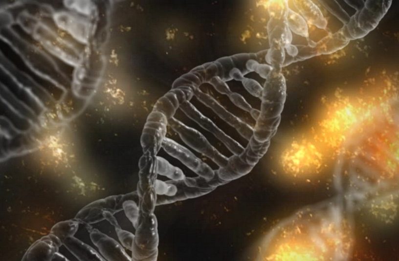 crispr modification genetique