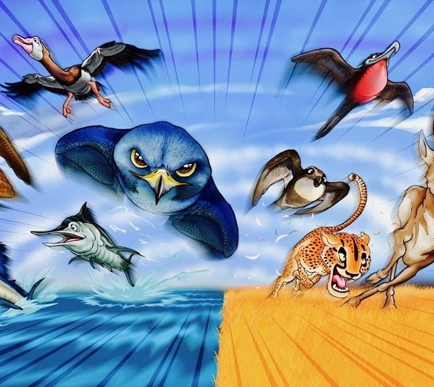 animaux rapidite vitesse