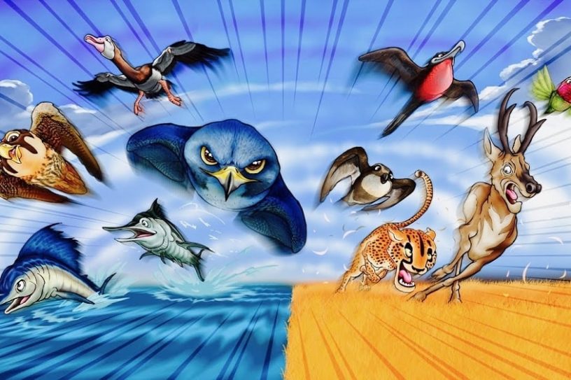 animaux rapidite vitesse
