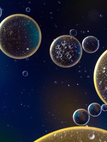 bacteries fosse mariannes
