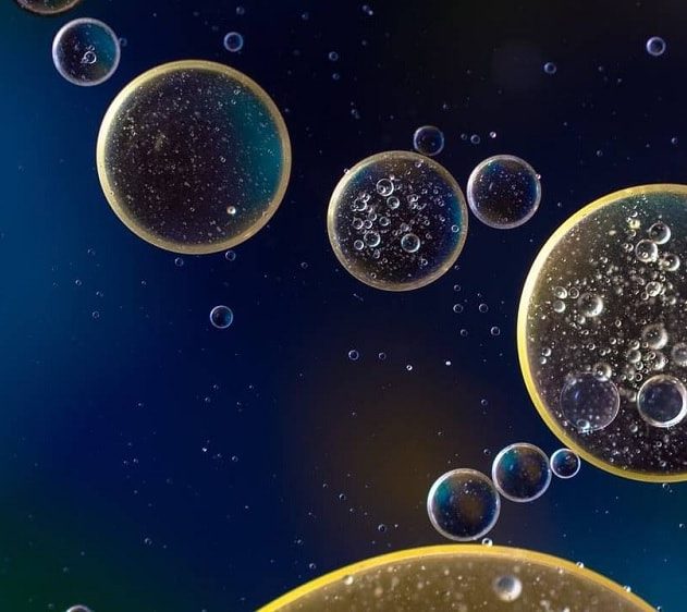 bacteries fosse mariannes