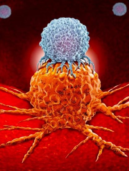 cellule cancer immunotherapie