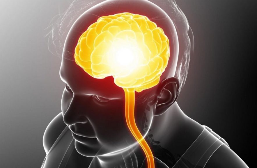 cerveau diminution matiere grise blanche obesite lien masse graisseuse graisse
