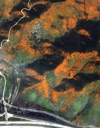 nasa fleur floraison californie