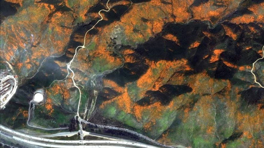 nasa fleur floraison californie