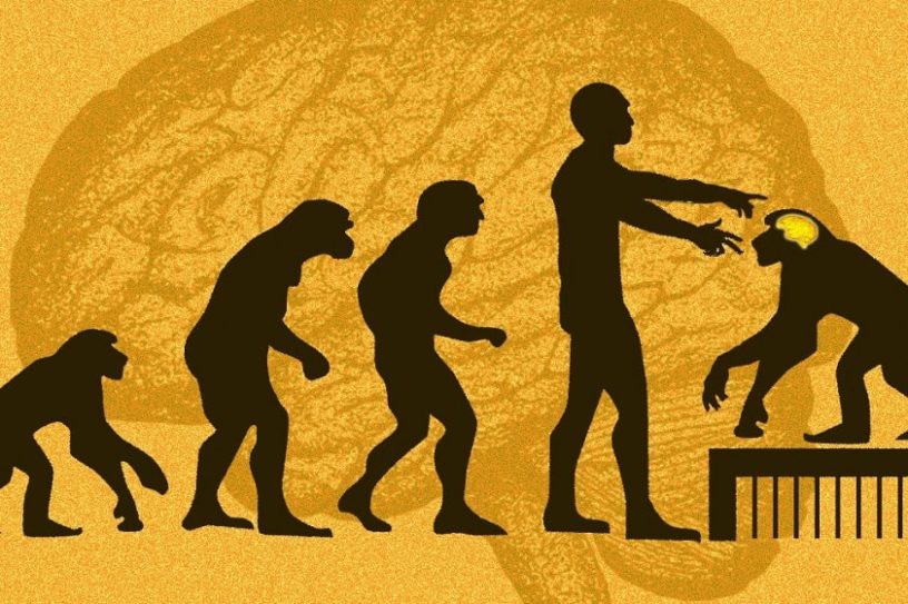 genes humain singes
