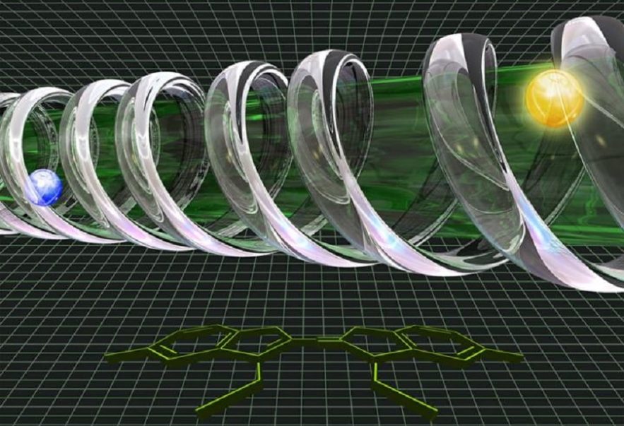 structure adn photsoynthese