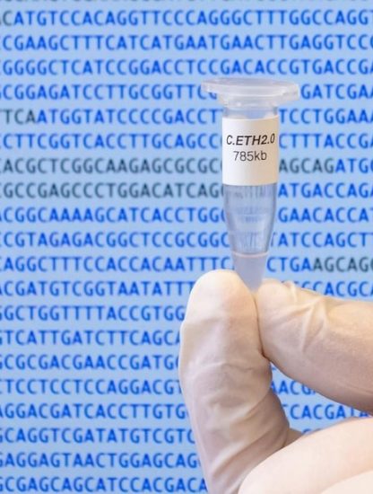 synthese bacterie informatique