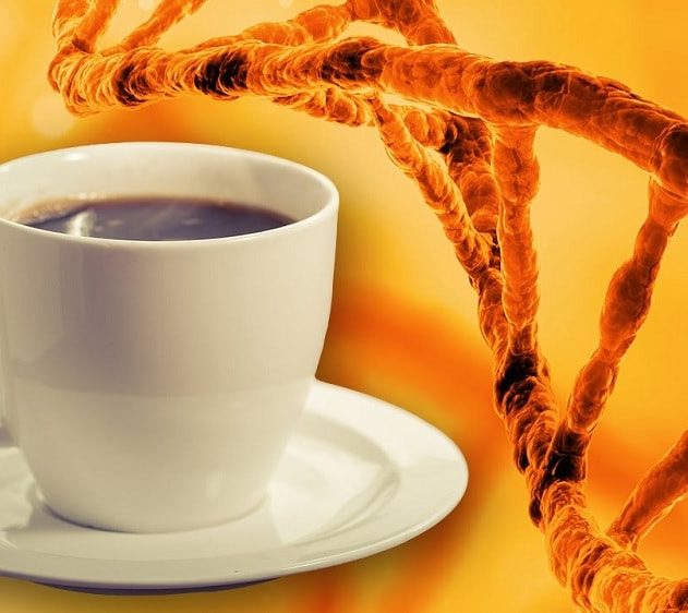 boissons gout effets